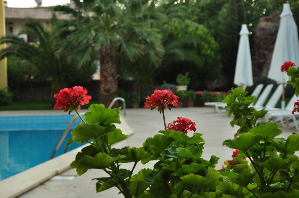 Palm Court Suites Ayvalı Exteriér fotografie