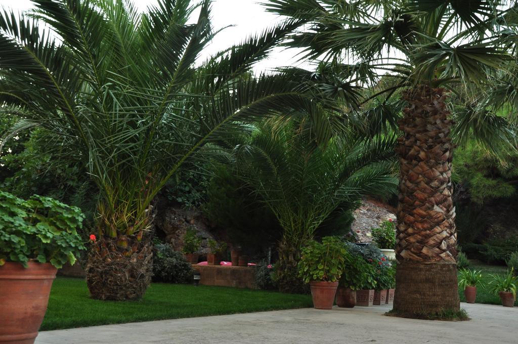 Palm Court Suites Ayvalı Exteriér fotografie
