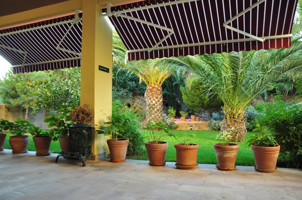 Palm Court Suites Ayvalı Exteriér fotografie