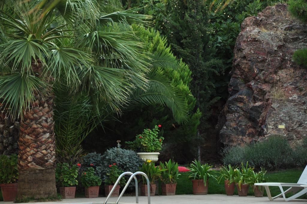 Palm Court Suites Ayvalı Exteriér fotografie