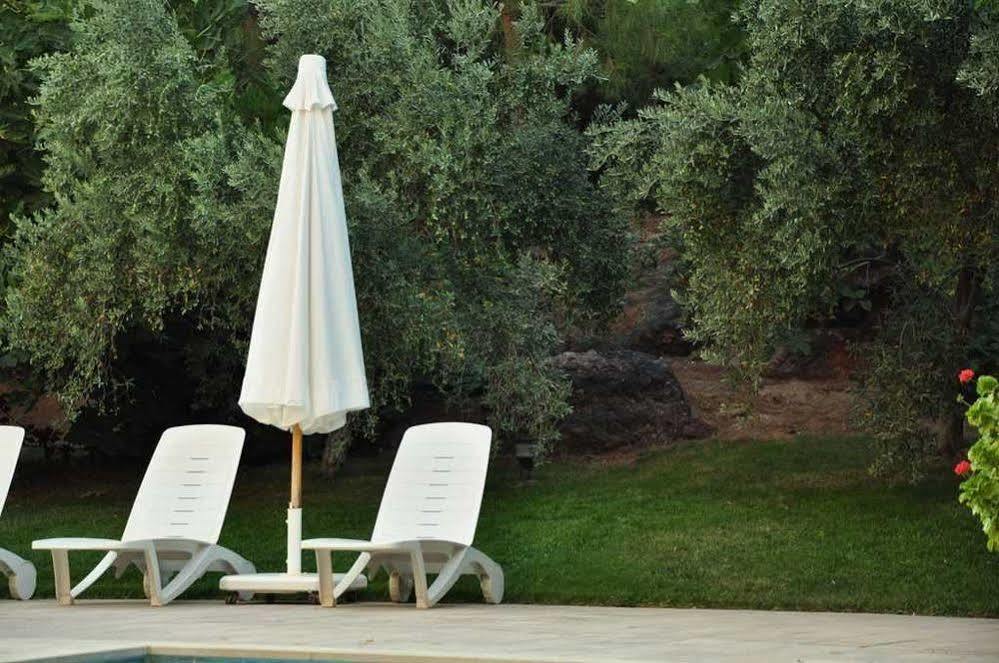 Palm Court Suites Ayvalı Exteriér fotografie
